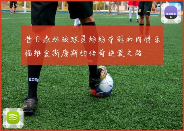 昔日森林狼球员纷纷夺冠加内特乐福维金斯唐斯的传奇逆袭之路